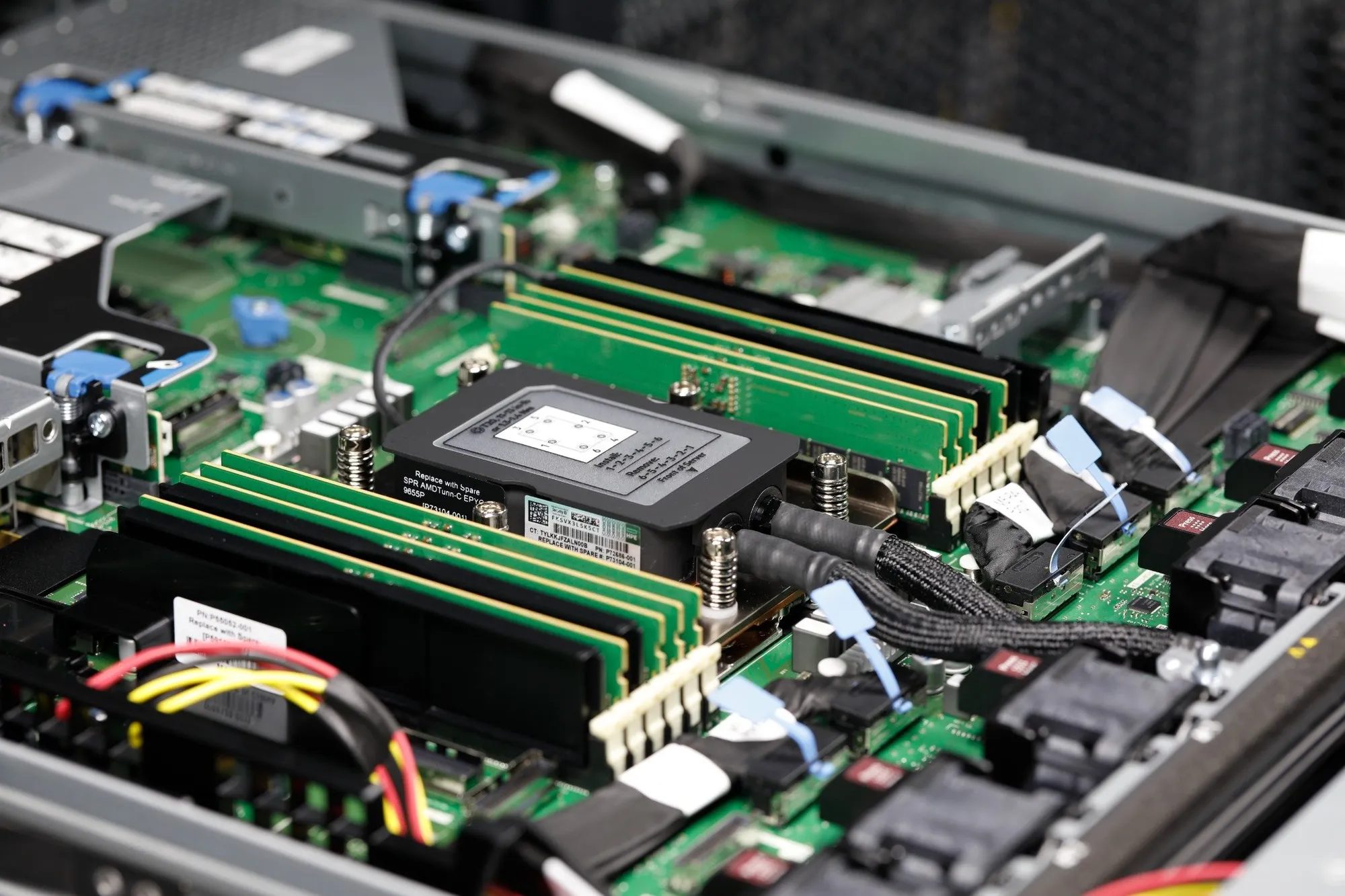 _L8A0083_wp_optimized